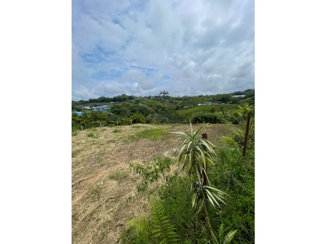 Lote en venta en Condina, Pereira, 1000 m² · foto 3 de 15