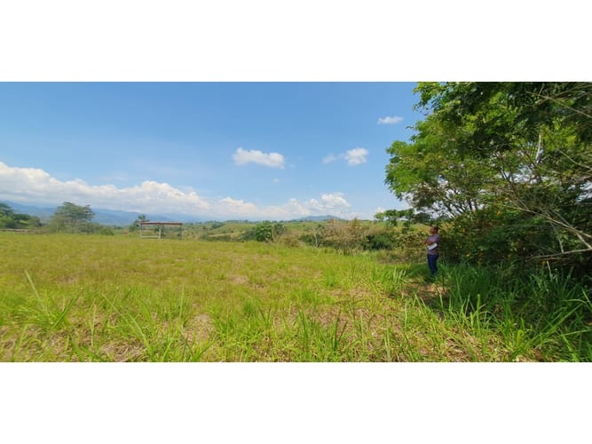 Lote en venta en Cerritos, Pereira, 10007 m² · foto 5 de 8