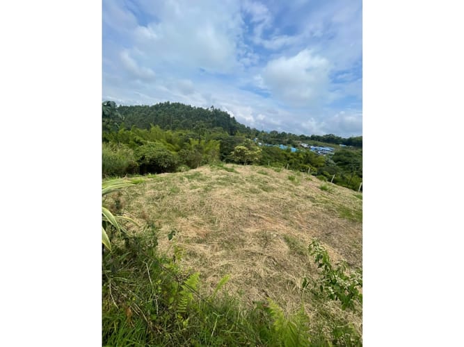 Lote en venta en Condina, Pereira, 1000 m² · foto 4 de 15