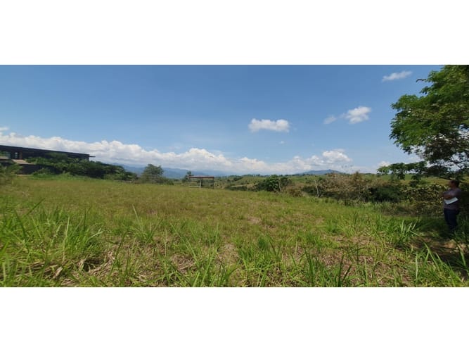 Lote en venta en Cerritos, Pereira, 10007 m² · foto 6 de 8