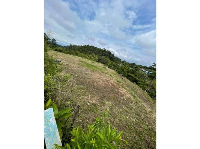 Lote en venta en Condina, Pereira, 1000 m² · foto 5 de 15