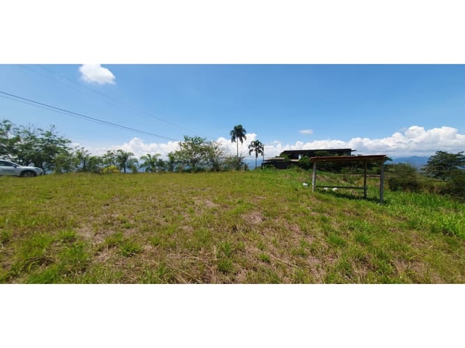 Lote en venta en Cerritos, Pereira, 10007 m² · foto 7 de 8