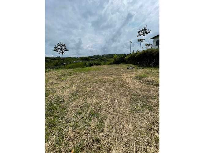Lote en venta en Condina, Pereira, 1000 m² · foto 6 de 15