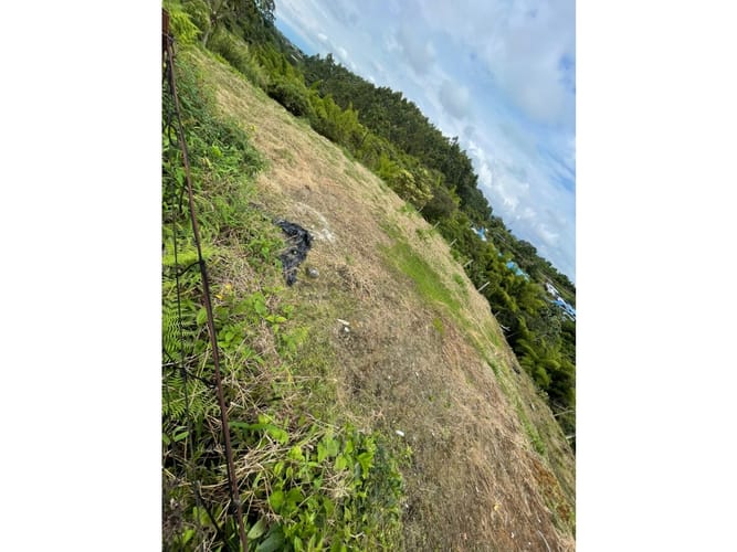 Lote en venta en Condina, Pereira, 1000 m² · foto 7 de 15