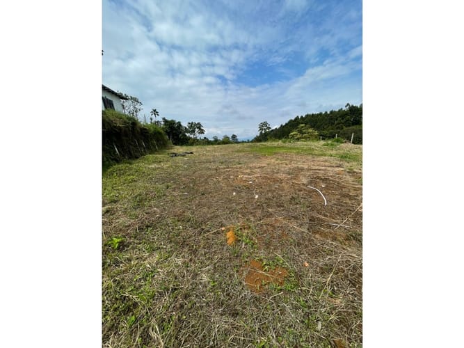 Lote en venta en Condina, Pereira, 1000 m² · foto 8 de 15