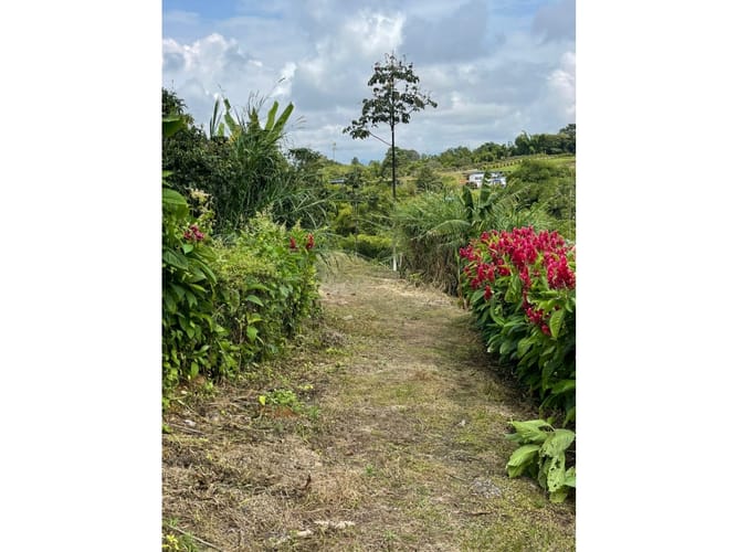 Lote en venta en Condina, Pereira, 1000 m² · foto 10 de 15