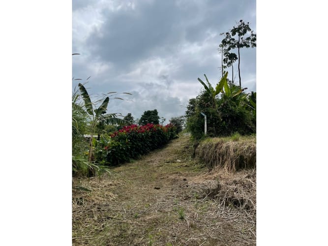 Lote en venta en Condina, Pereira, 1000 m² · foto 11 de 15