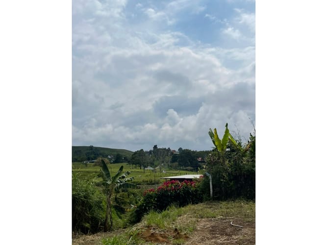 Lote en venta en Condina, Pereira, 1000 m² · foto 12 de 15
