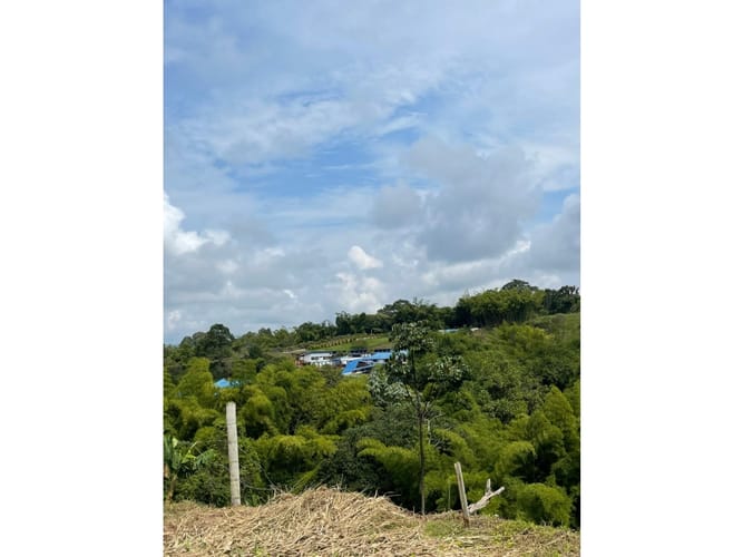 Lote en venta en Condina, Pereira, 1000 m² · foto 13 de 15