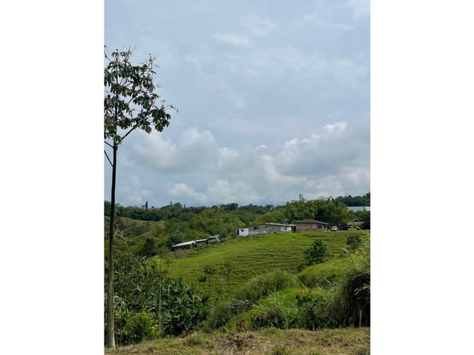 Lote en venta en Condina, Pereira, 1000 m² · foto 14 de 15