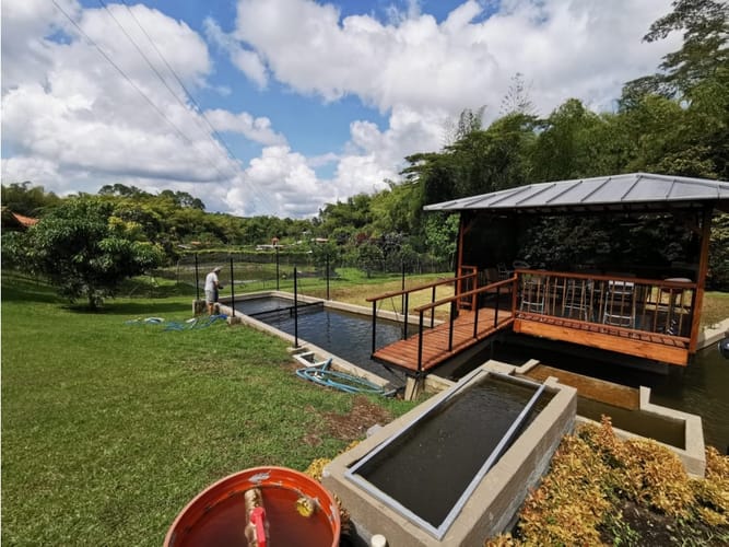 Finca en venta en Combia, Pereira, 300 m² · foto 4 de 24