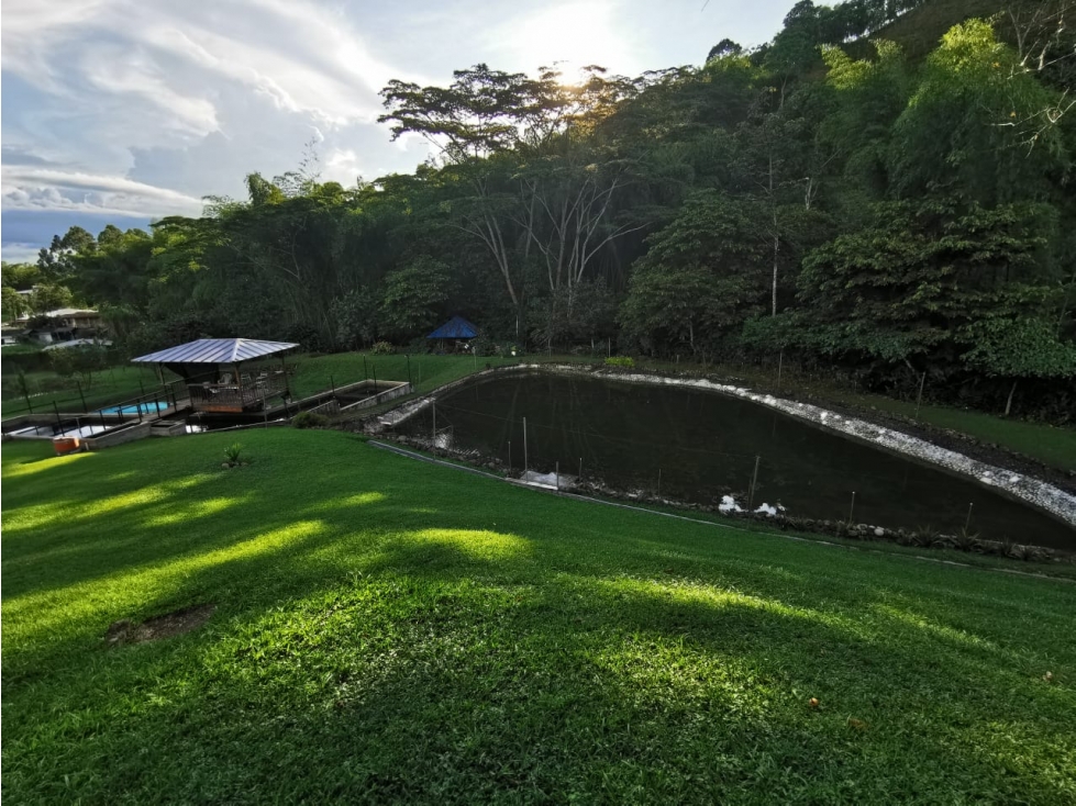 Finca en venta en Combia, Pereira, 300 m² · foto 5 de 24