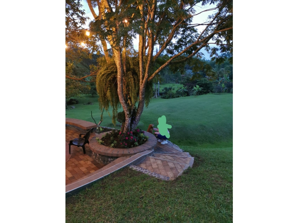 Finca en venta en Combia, Pereira, 300 m² · foto 10 de 24