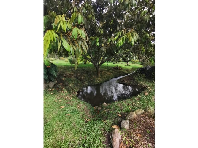 Finca en venta en Combia, Pereira, 300 m² · foto 11 de 24