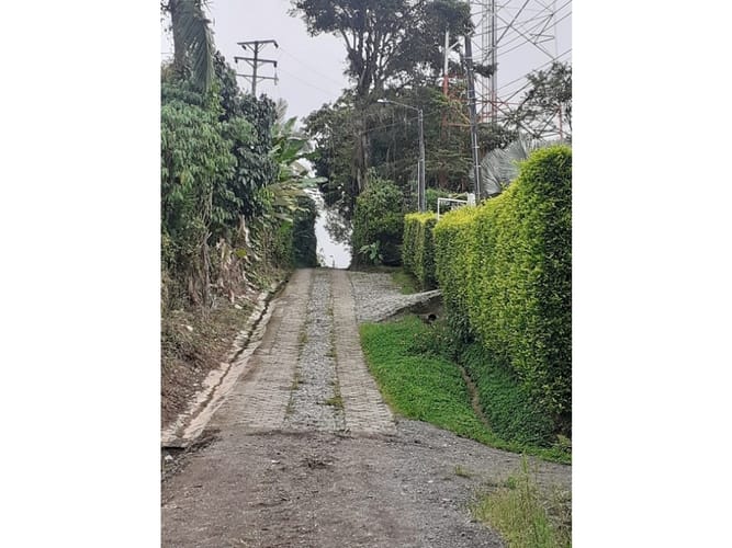Finca en venta en Morelia, Pereira, 369 m² · foto 5 de 24