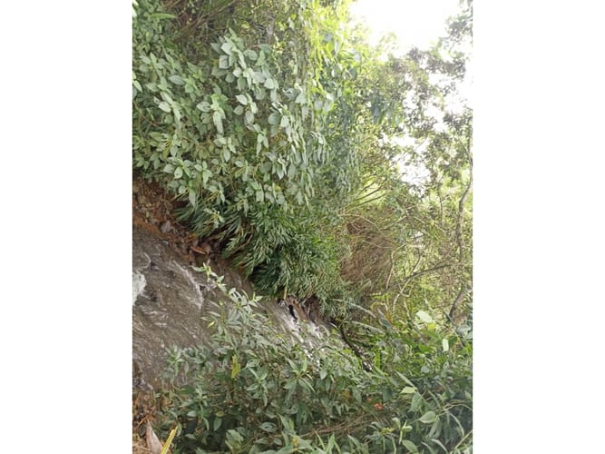 Finca en venta en Combia, Pereira, 300 m² · foto 12 de 24