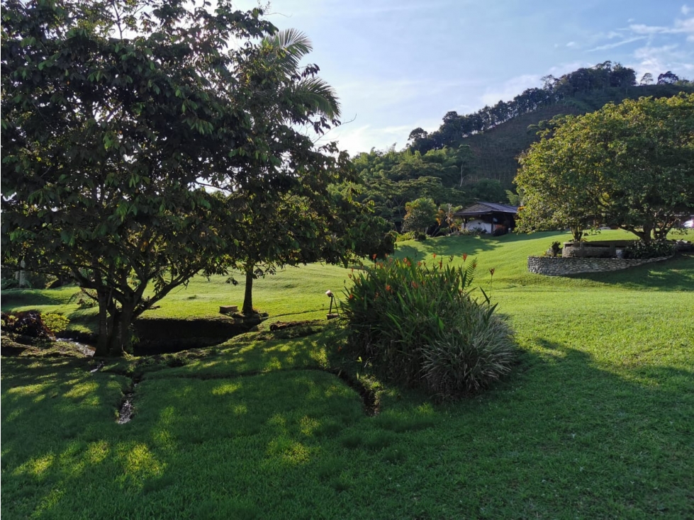 Finca en venta en Combia, Pereira, 300 m² · foto 16 de 24