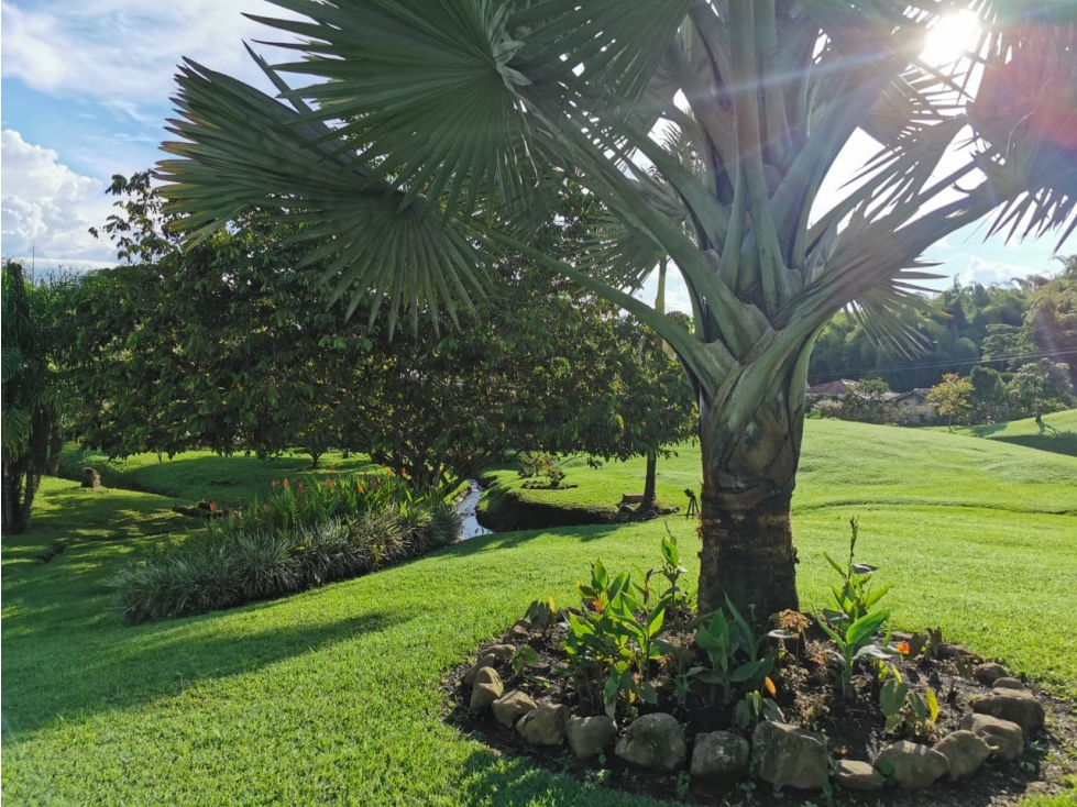 Finca en venta en Combia, Pereira, 300 m² · foto 19 de 24