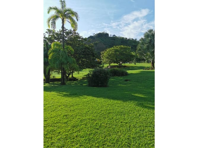 Finca en venta en Combia, Pereira, 300 m² · foto 20 de 24