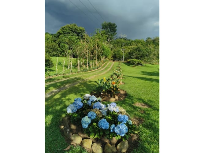 Finca en venta en Combia, Pereira, 300 m² · foto 22 de 24