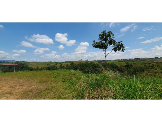 Lote en venta en Cerritos, Pereira, 10055 m² · foto 2 de 5
