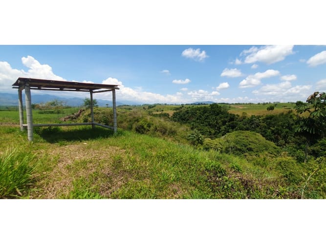 Lote en venta en Cerritos, Pereira, 10055 m² · foto 3 de 5