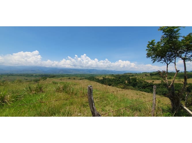 Lote en venta en Cerritos, Pereira, 11027 m² · foto 2 de 12