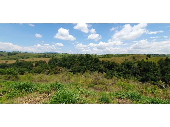 Lote en venta en Cerritos, Pereira, 11027 m² · foto 10 de 12