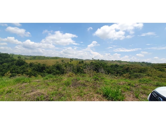 Lote en venta en Cerritos, Pereira, 11027 m² · foto 11 de 12