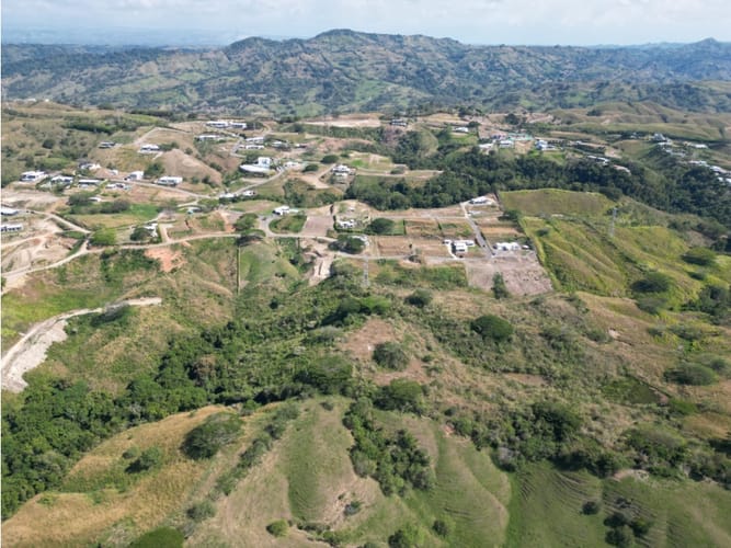 Lote en venta en Cerritos, Pereira, 2000 m² · foto 6 de 13