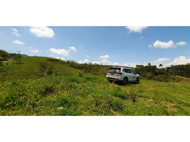 Lote en venta en Cerritos, Pereira, 11517 m² · foto 4 de 9
