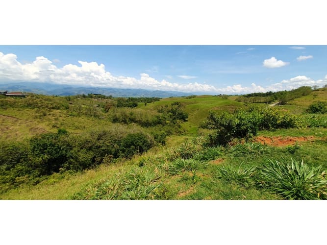 Lote en venta en Cerritos, Pereira, 11517 m² · foto 6 de 9