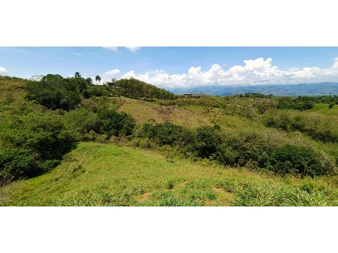 Lote en venta en Cerritos, Pereira, 11517 m² · foto 7 de 9