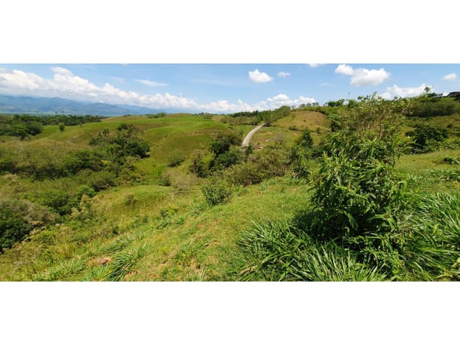 Lote en venta en Cerritos, Pereira, 11517 m² · foto 9 de 9