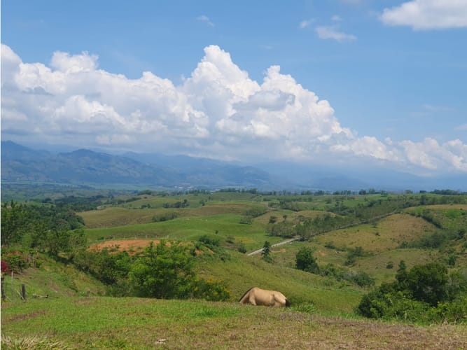 Lote en venta en Cerritos, Pereira, 13000 m² · foto 2 de 18