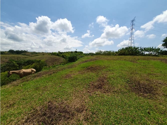 Lote en venta en Cerritos, Pereira, 13000 m² · foto 4 de 18
