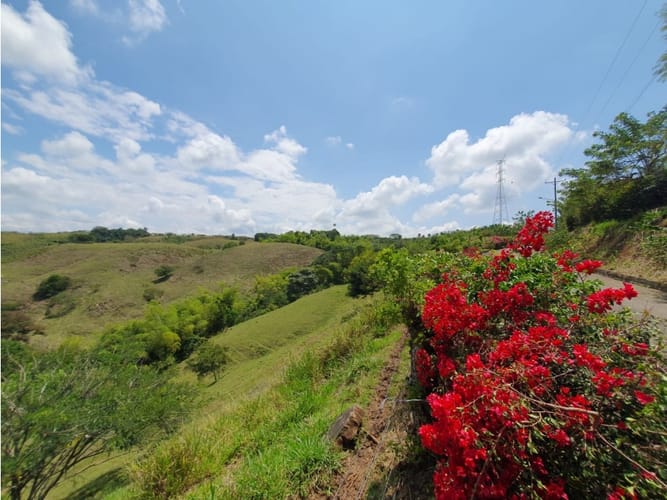 Lote en venta en Cerritos, Pereira, 13000 m² · foto 6 de 18