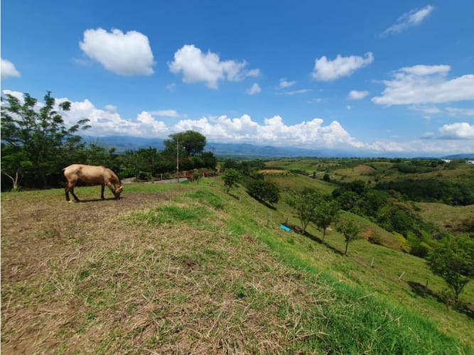 Lote en venta en Cerritos, Pereira, 13000 m² · foto 8 de 18