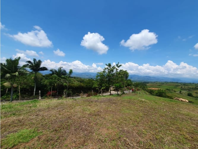 Lote en venta en Cerritos, Pereira, 13000 m² · foto 9 de 18