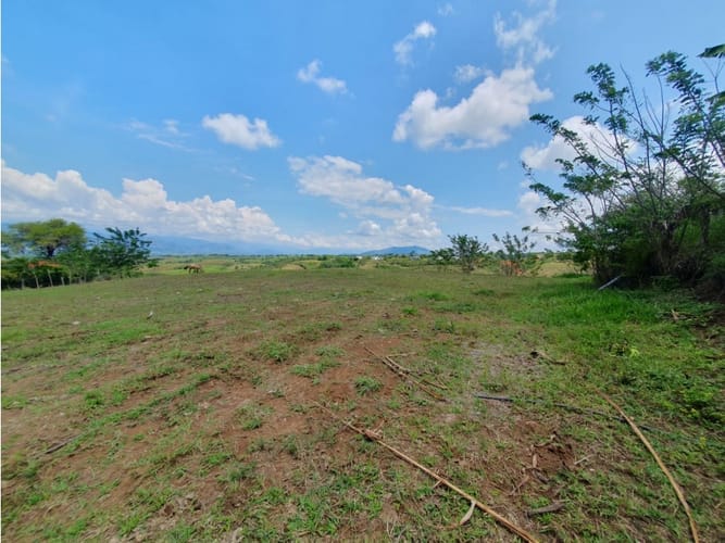 Lote en venta en Cerritos, Pereira, 13000 m² · foto 10 de 18