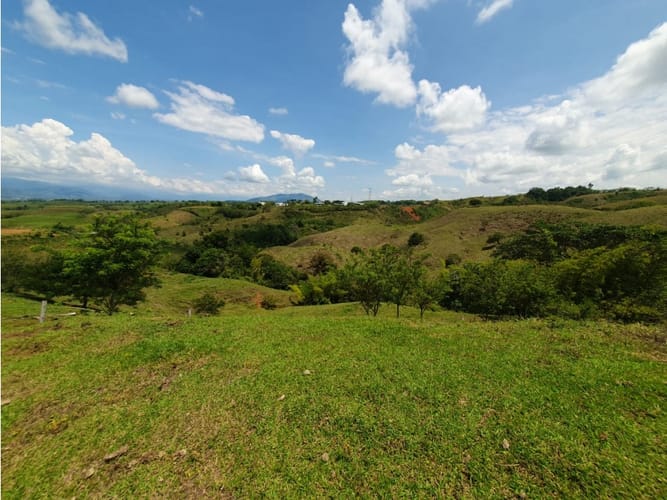 Lote en venta en Cerritos, Pereira, 13000 m² · foto 11 de 18