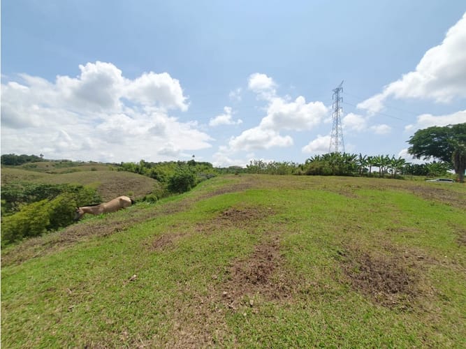 Lote en venta en Cerritos, Pereira, 13000 m² · foto 12 de 18