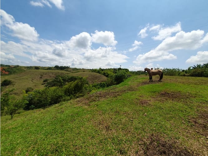 Lote en venta en Cerritos, Pereira, 13000 m² · foto 14 de 18