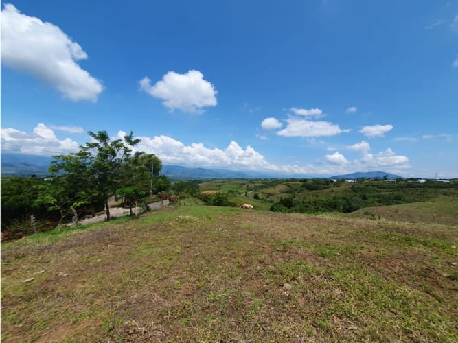 Lote en venta en Cerritos, Pereira, 13000 m² · foto 15 de 18