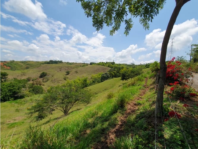 Lote en venta en Cerritos, Pereira, 13000 m² · foto 16 de 18