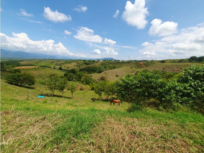 Lote en venta en Cerritos, Pereira, 13000 m² · foto 17 de 18