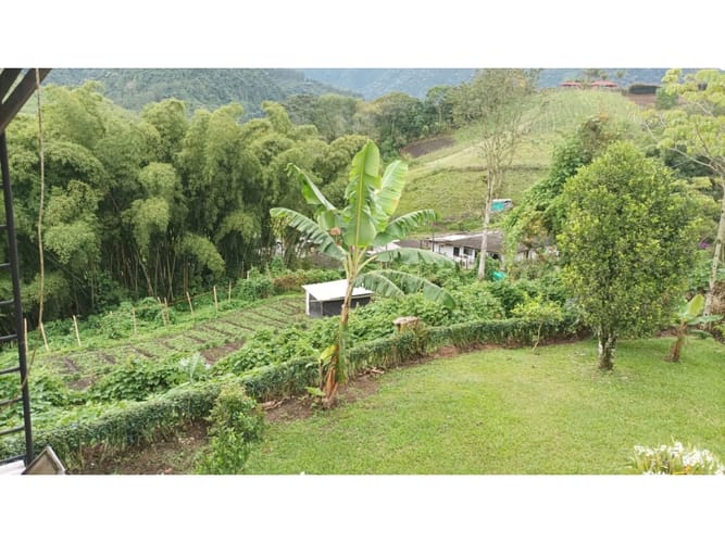 Finca en venta en La Florida, Pereira, 156 m² · foto 15 de 24