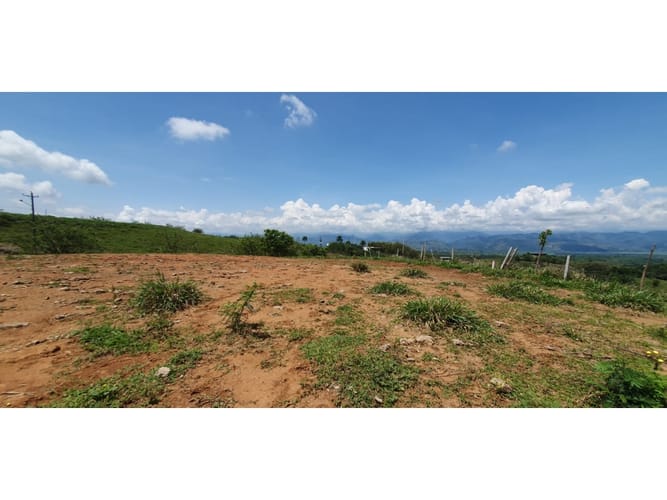 Lote en venta en Cerritos, Pereira, 13500 m² · foto 4 de 9