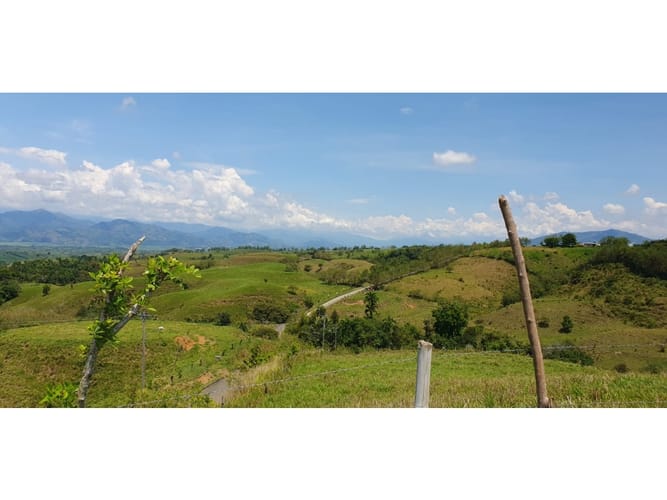 Lote en venta en Cerritos, Pereira, 13500 m² · foto 5 de 9