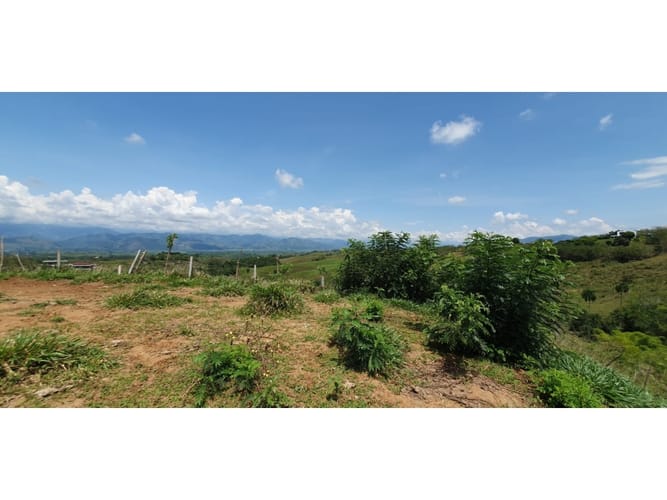 Lote en venta en Cerritos, Pereira, 13500 m² · foto 6 de 9